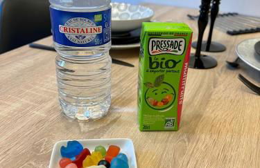 Cocon proche CHU-EMAILLEURS - Foto 9