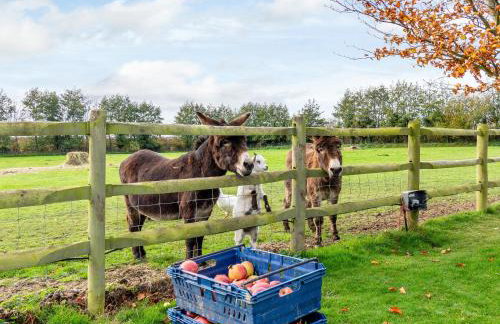 Old Shires Barn - Photo 41