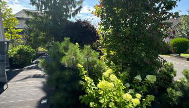 Ferienwohnung Feiden Eifel-Mosel Lounge - Foto 4, Garden, Garden view