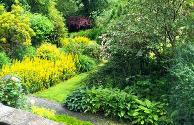 Cwm Irfon Lodge Cottages - Photo 27