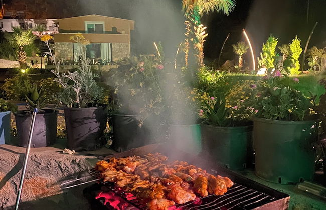 Zirkon Vadi Village Hotel - Foto 36