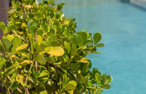 Apogeo 119 luxo-wifi-vaga-AC - Foto 30