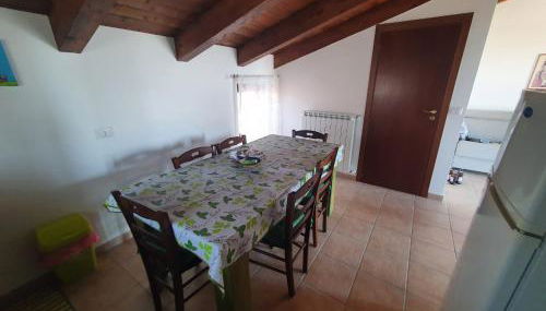 Gabbiano Jonathan - Foto 2