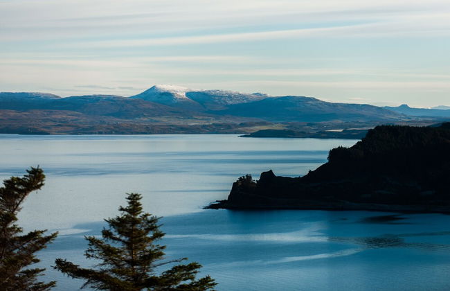 Croft 7 Geary Self Catering Studio - Photo 41