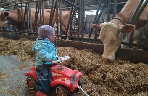 Bio-Ferienhof Köpf - Foto 28