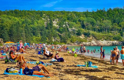 Mattawamkeag River Cottage - Foto 21