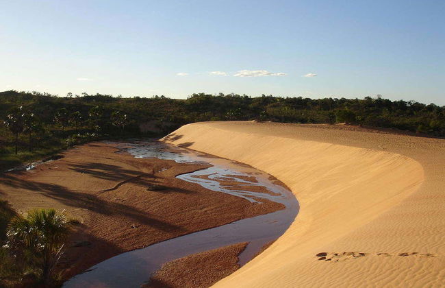 Tour de 12 días por Tocantins - Foto 3