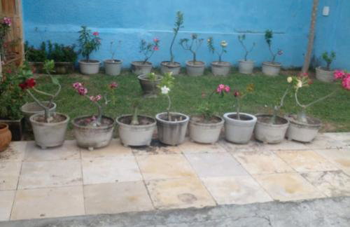 Casa por temporada na Caponga-Ce - Foto 47