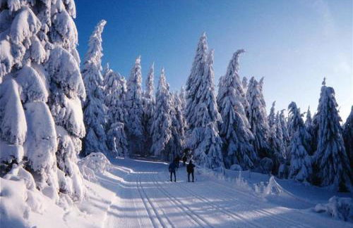 Appartement Honey - Foto 52