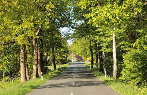 Holiday apartment with 1 bedroom - Foto 36