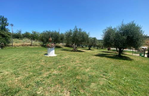 Agriturismo privato "La Casa Del Sole" - Foto 77