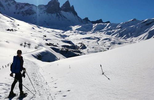 Joli F2 de 2 à 8 places, 300m centre station ski - Foto 14