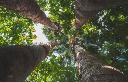 Kera Studios - Foto 8