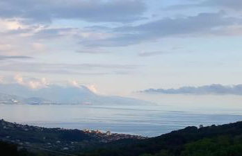 I Corbezzoli - Foto 10