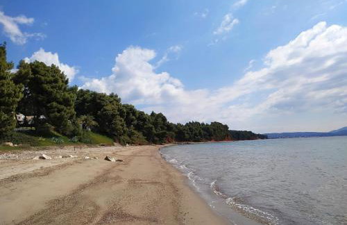 Tradiotional house - Foto 16