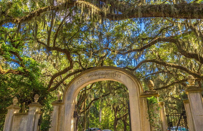 Excursión a Wormsloe y el cementerio Bonaventure - Foto 1
