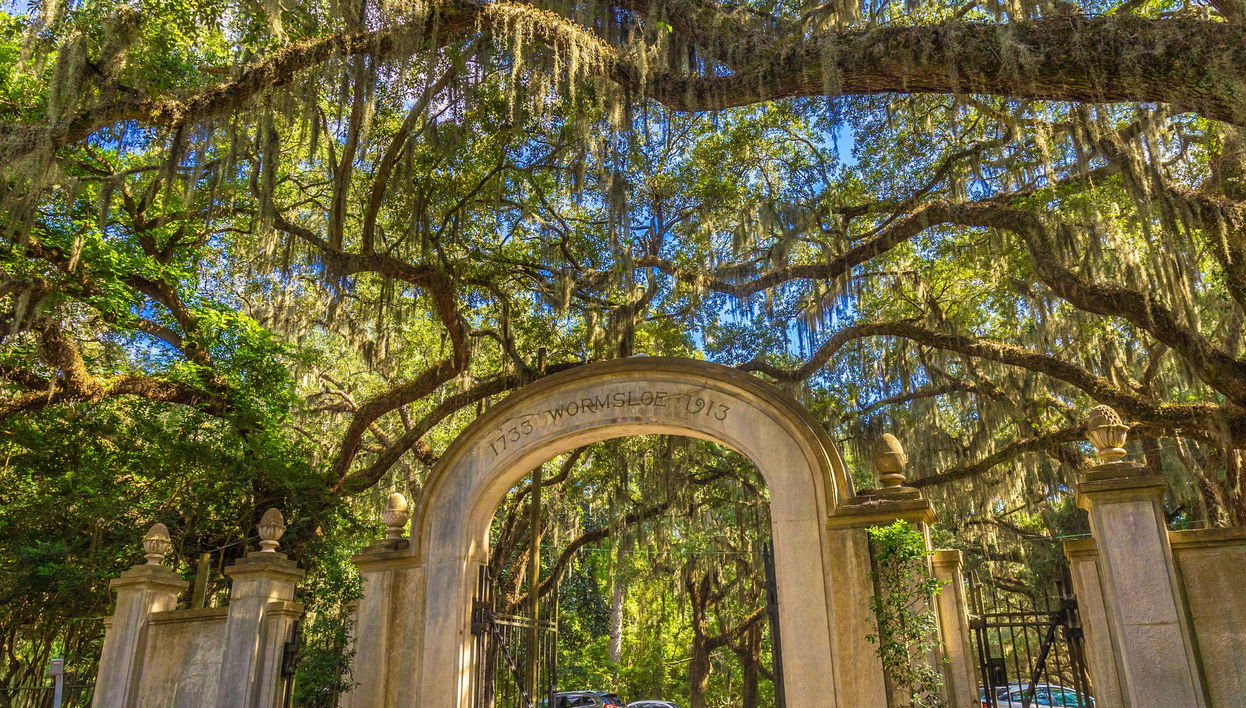 Escursione a Wormsloe e al cimitero Bonaventure
