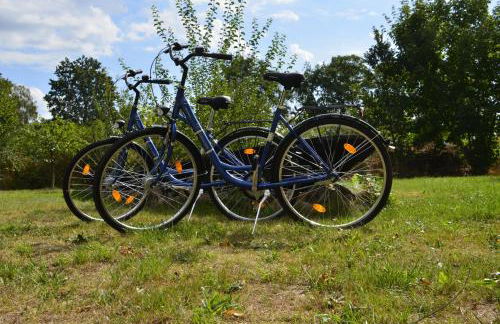 Spreewaldpension Hahn - Foto 6