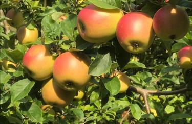 Helpens Hof - Foto 44