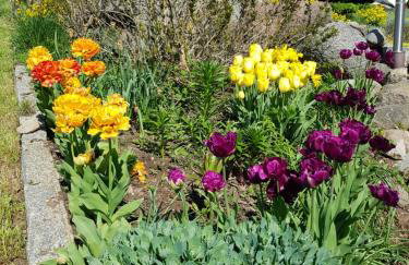 Agroturystyka "U Klaudii" - Foto 16