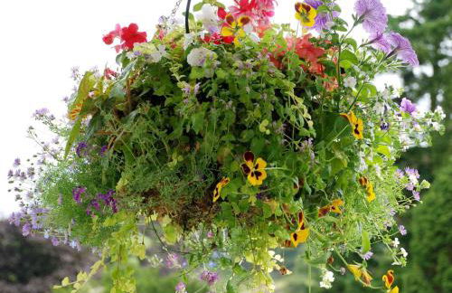 Ees Wyke Country House - Foto 21