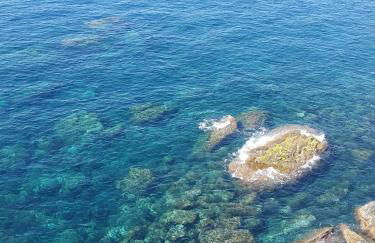 La Casa del Gallerista - Foto 15