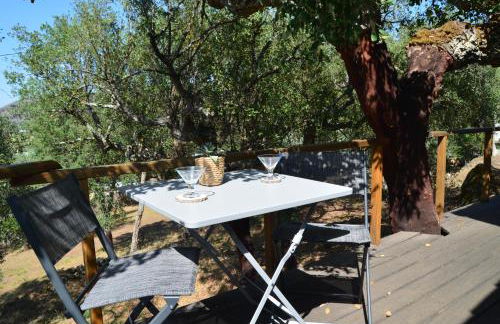 Casa do Pássaro - Photo 18