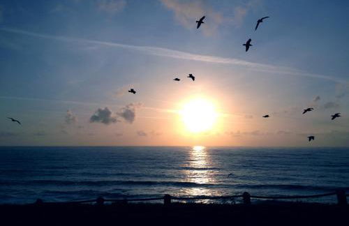 Amazing Oceanview 2 bedroom Oceanfront! by OceanviewHotTubs Shelter Cove, CA Tesla EV Station - Foto 37