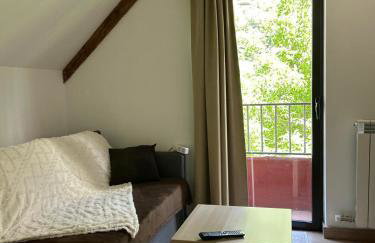Apartahotel Canfranc - Foto 82
