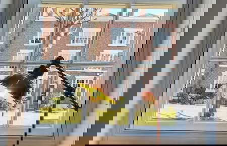 Deva Leisure - Foto 44