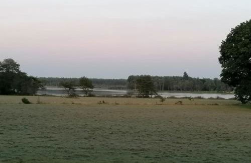 Grand gîte "Le gardien du château de Brocéliande", vue unique sur l'étang du Pas du Houx - Foto 30