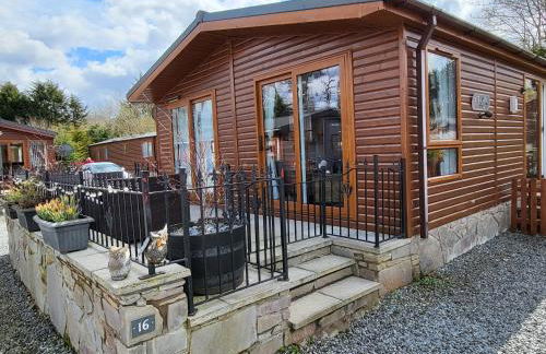 Red Squirrel Lodge - Foto 3