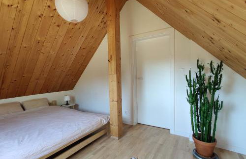 Dom Szumią Wierzby - Foto 36