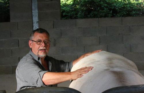 Agriturismo Valdifiori - Foto 36