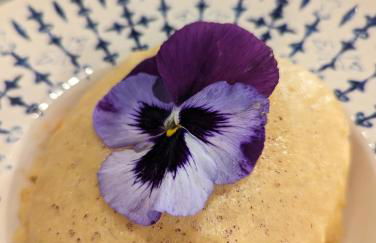 Podere Spedalone - Foto 59