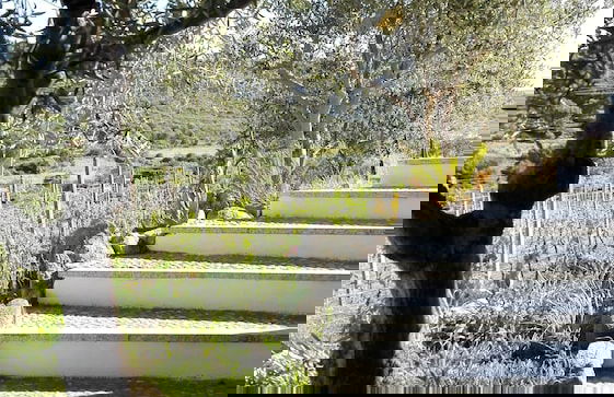 Agriturismo B&B Domo De Resteblas - Foto 46