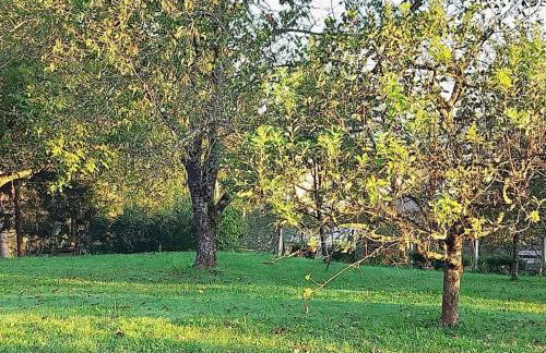 Apartma Laganini - Foto 16