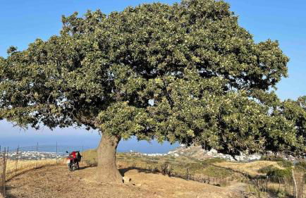 Amerissas studios 2 - Photo 28