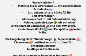 Tulip apartment with your private entrance - Foto 19