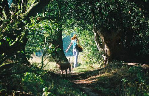 The Bakery a honeymooners favourite cosy stylish with lovely walks and pubs - Foto 37