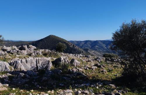 La Ruteña - Foto 27