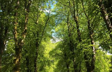 Loch Ness Moat House Apartments - Foto 48