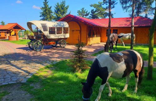 Ośrodek Agroturystyczny Zacisze - Foto 44