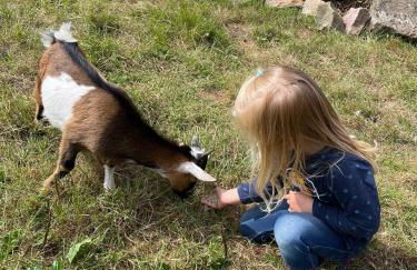 Ferien auf dem Arche-Bauernhof - a70030 - Foto 15