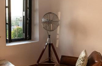 PositiveSpace Olive Tree - Foto 32