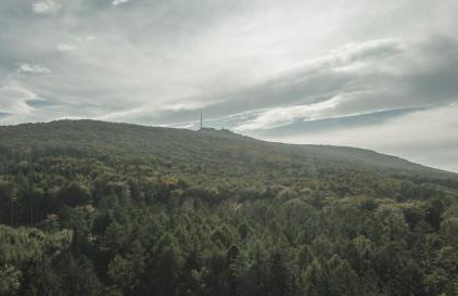 Sobótkowe Zacisze - Photo 13