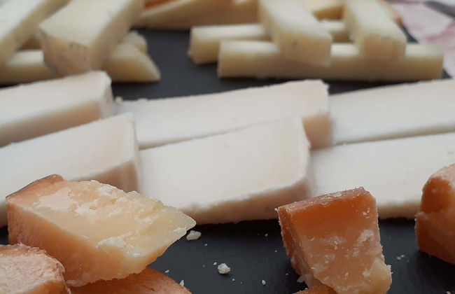 Cata de quesos en Medina del Campo - Foto 1