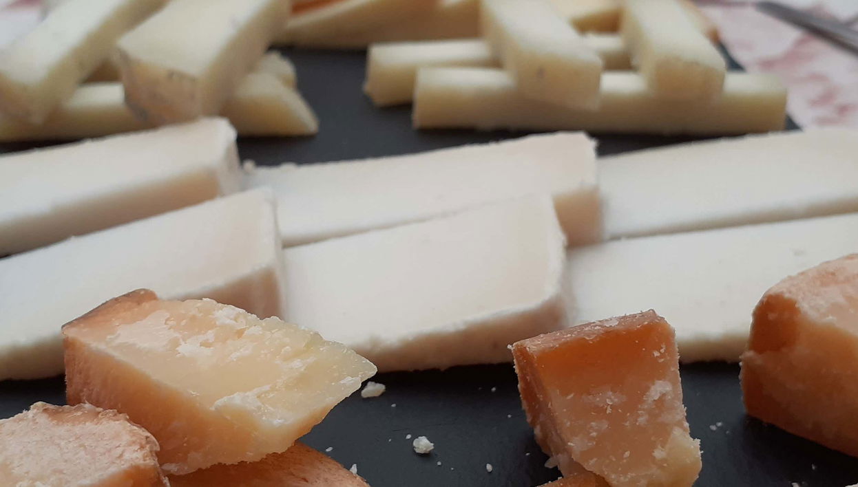 Degustação de queijos em Medina del Campo