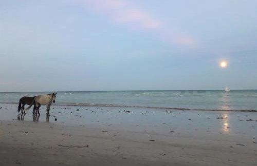 Serena Morro - Foto 18