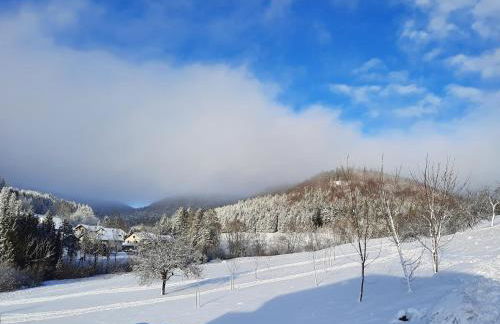 Ferienwohnung Im Eyachtal - Foto 19